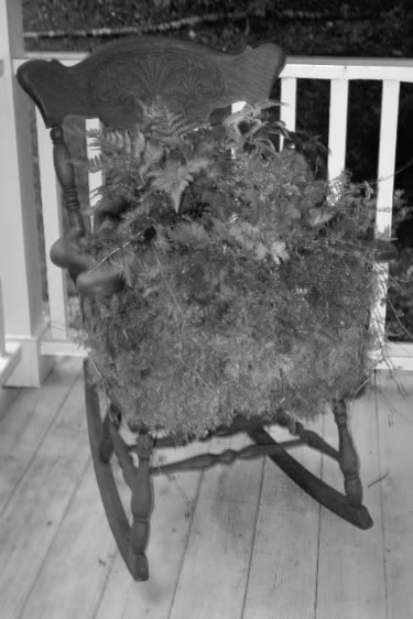Plant Chair