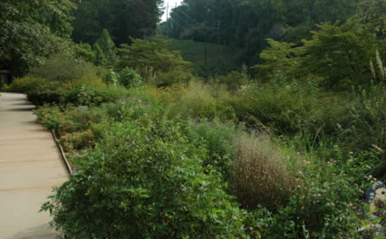 Chattahoochee Nature Center