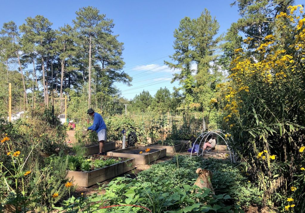 Hyde Farm Community Garden Master Gardener Volunteers of Cobb County