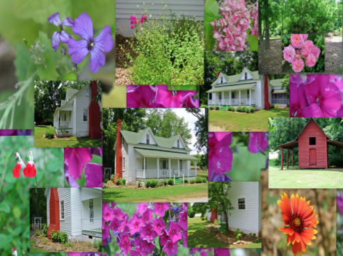 Period Garden Collage