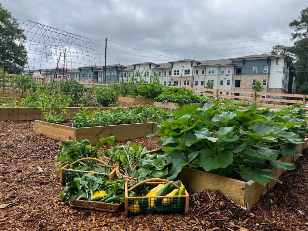 2023 Raised Beds